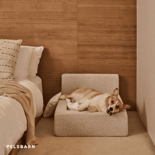 Orthopedic Comfort Bed | Dog Bed – Joint Support & Luxury Rest