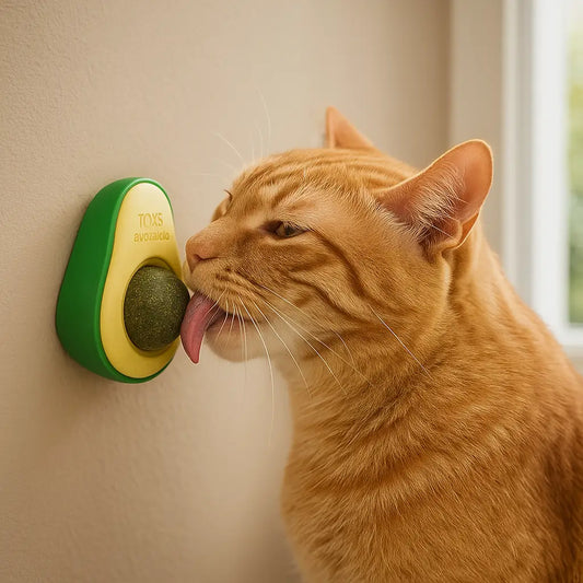Catnip Ball Toy for Cats – Rotating Avocado Catnip Toy