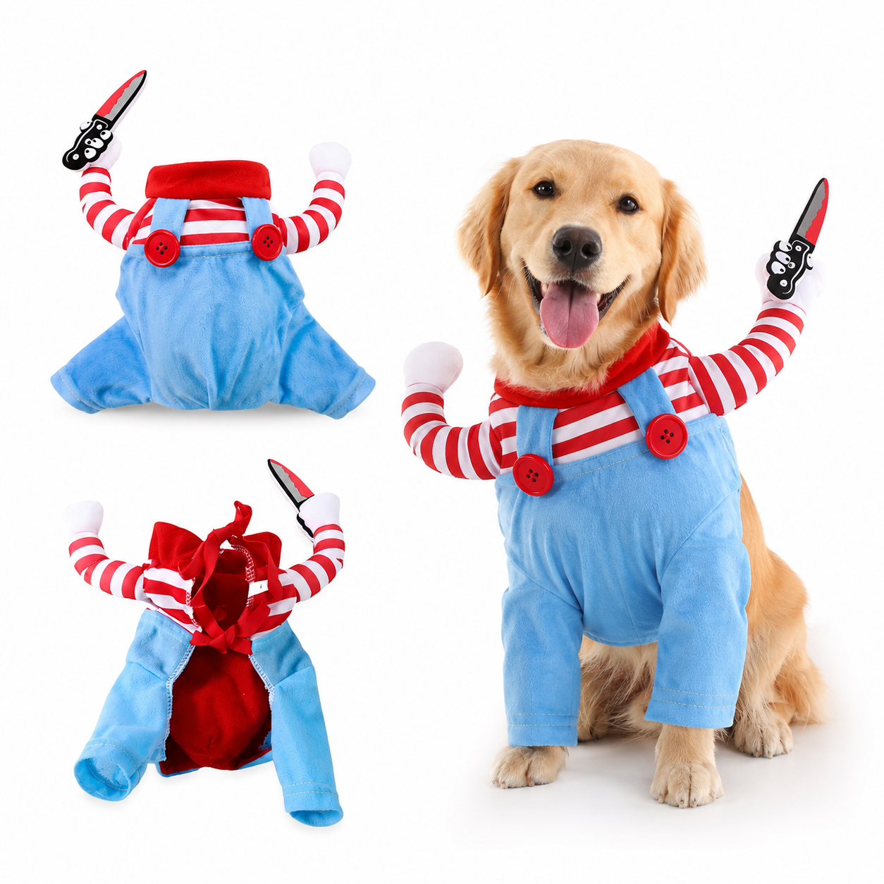 Dog wearing spooky Halloween costume