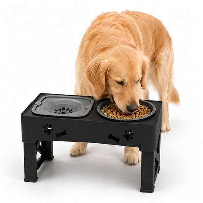 Adjustable Raised Dog Slow Feeder Bowl Stand | Elevated Pet Feeding Station