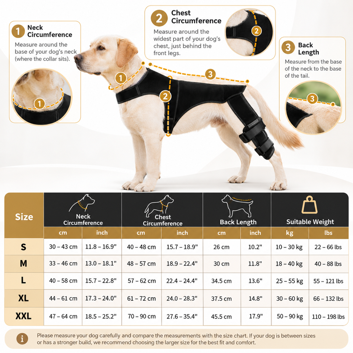 Rear Leg Support Brace for Dogs – Anti-Slip Hind Leg Stability Wrap