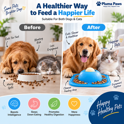 Slow Feeder Dog Mat & Bowl – Interactive Slow Eating Feeding Mat