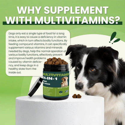 24-in-1 Dog Multivitamin Soft Chews – Omega-3, Probiotics & Joint Support