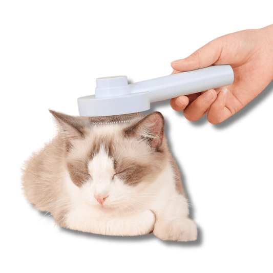 Self Cleaning Slicker Brush for Dogs & Cats – Pet Grooming Brush for Shedding & Detangling