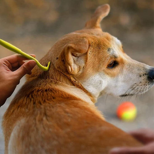 Tick Remover Tool for Dogs & Cats – Easy Tick Picker for Safe Tick Removal