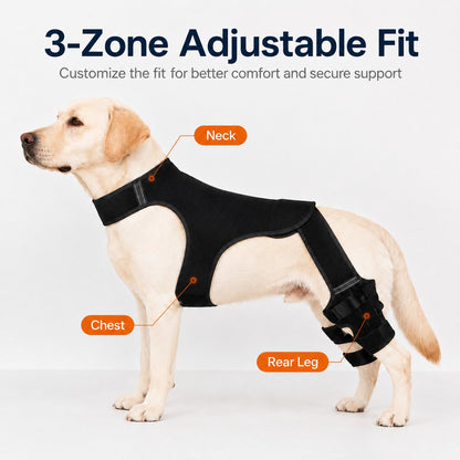 Rear Leg Support Brace for Dogs – Anti-Slip Hind Leg Stability Wrap