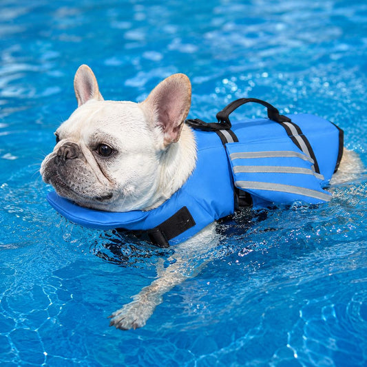 Reflective Dog Life Jacket with Chin Float Support for French Bulldogs & Pugs