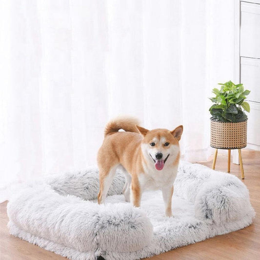 Luxury Fluffy Dog Bed | Soft, Stylish & Easy-to-Clean Comfort Bed